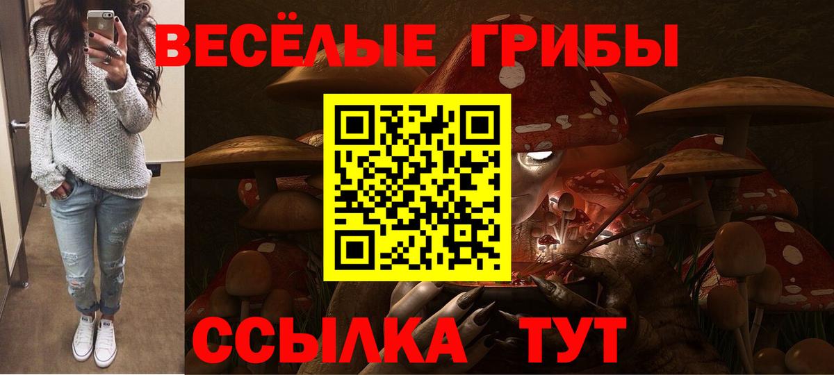 где продают наркотики  Псилоцибиновые грибы MAGIC MUSHROOMS  Вход с VPN  Сочи 